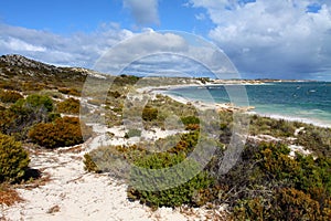 Rottnest island in Australia