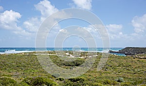 Rottnest Island: Lush Shoreline