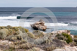 Rottnest Island Osprey Nest