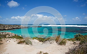 Rottnest Island: Vivid Nature