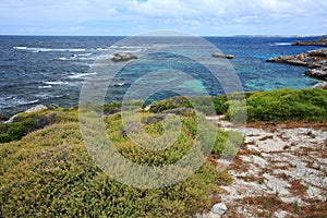 Rottnest Island, Western Australia