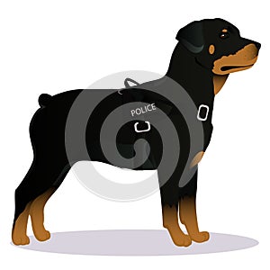 Rottweiler Police dog