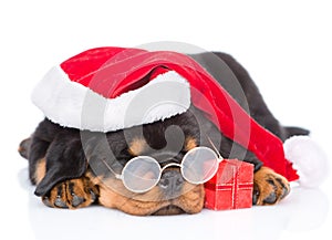Rottweiler puppy with glasses, red santa hat and gift box. isolated