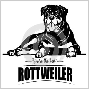 Rottweiler - vector illustration for t-shirt, logo and template badges