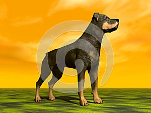 Rottweiller dog - 3D render