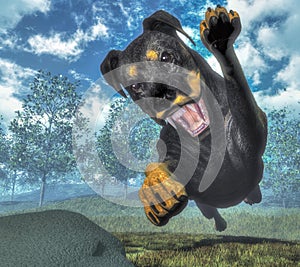 Rottweiller dog runnning - 3D render
