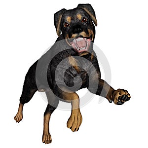 Rottweiller dog runnning - 3D render