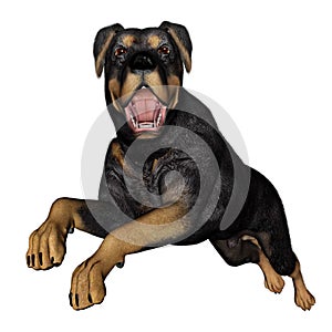 Rottweiller dog runnning - 3D render