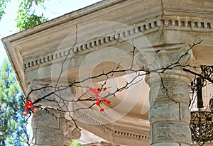 Rotunda with columns strung with acacia thorns