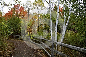 Rouge National Urban Park - footpath with fences in autumn