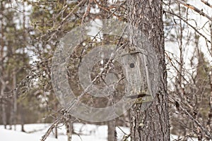 Rouge rural birdhouse on the tree in finland forest