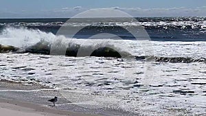 Rough and active Atlantic Ocean with a hurricane off shore