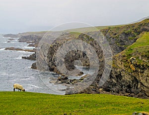 Rough Atlantic jagged coastline Achill, Mayo, Ireland