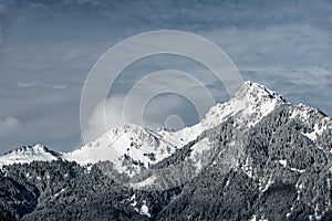 Rough austrian mountains