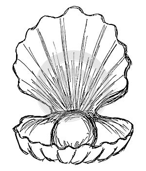 Rough black and white freehand sketch of a seashell with a pearl inside. Simple vector linear clipart of an open shell with a ball