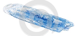 rough blue kyanite crystal isolated on white