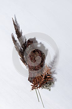 Rough brown bark, dry leaf fern, dried grass stems, moss on white wood board with shadow as modern simple background, top view.