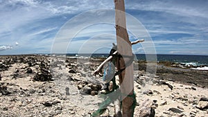 Rough coast on Bonaire