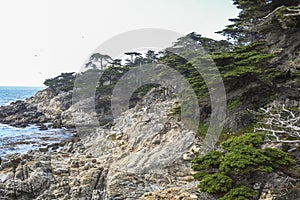 Rough coast on highway 1 in california photo