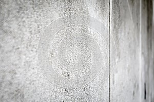 Rough Concrete Wall Texture with Light Gray Surface and Subtle Shadows