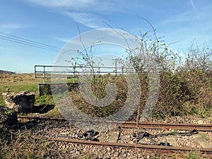 Rough country scene by old railway line