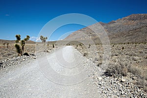 Rough Death Valley Road