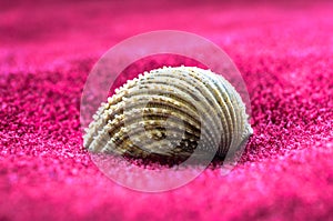 Rough details of a seashell on a soft towel for home decor or spa items