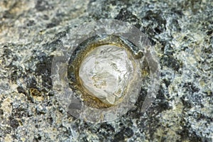 Rough Diamond photo