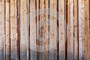 Rough fence made of pine planks