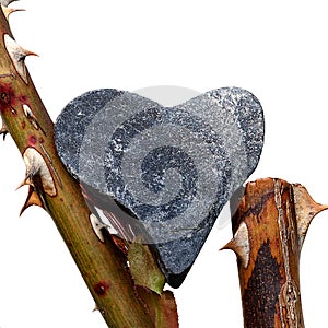 Rough figure of a heart made of gray pebble stone balancing on the stems of a rose with prickly thorns closeup