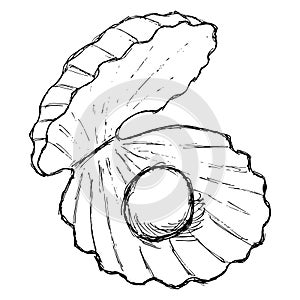 Rough freehand outline drawing of a seashell with a pearl. Vector sketch of an open shell with a round ball inside, isolated on