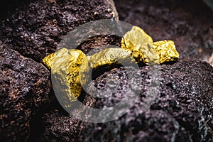 Rough gold, gold mine with rare golden stone