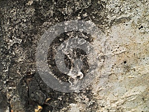 Rough and grainy black and white concrete surface