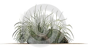 Rough Grass between Granite stones