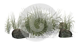 Rough Grass between Granite stones