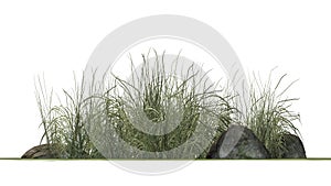 Rough Grass between Granite stones