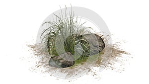 Rough Grass between Granite stones on a sand erea