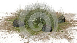 Rough Grass between Granite stones on a sand erea