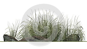 Rough Grass between Granite stones