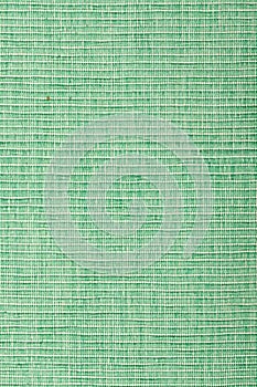 Rough green textile texture