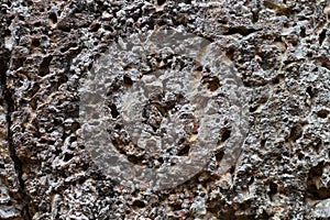 Rough grey stone texture photo. Natural stone background. Weathered rock relief. Porous volcanic stone