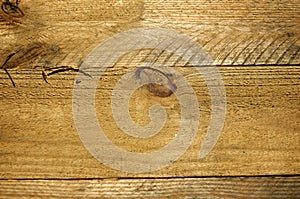 Rough knotty wood plank backdrop close up photo