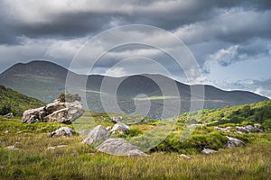 Rough landscape with massive boulders, meadow and forest, illuminated by sunlight in MacGillycuddys Reeks mountains