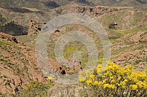 Rough landscape in San Bartolome de Tirajana.