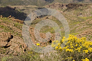 Rough landscape in San Bartolome de Tirajana.