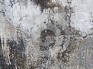 rough and mossy old cement wall surface