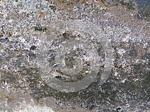 rough and mossy old cement wall surface