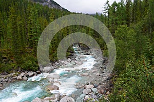 Rough mountain river Shumak.