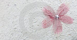 Rough mulbery paper texture