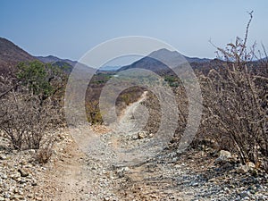 Rough offroad track with large ruts along Kunene River between Kunene River Lodge and Epupa Falls, Namibia, Africa